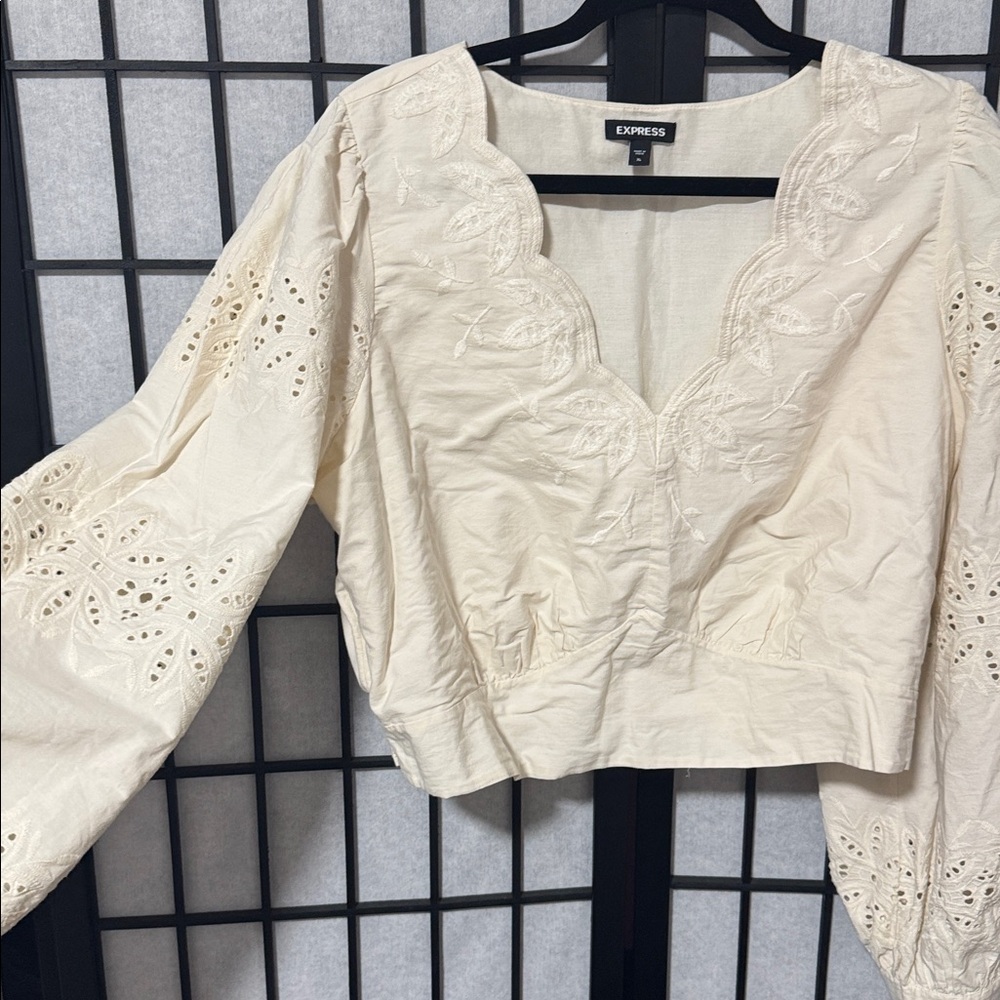 Express size XL Embroidered Eyelet Sleeve Cropped Top - Picture 5 of 9